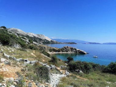 Güzel koy, bitki ve deniz, Stara Baka, Krk adası.!