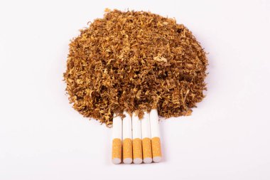 Hafif arka planda sigara ve tütün.