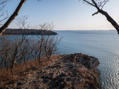 Ağaçlar, denizler, kumsal, gökyüzü, gün. Rusya, Nakhodka şehri, Sestrinsky Burnu Sopka Kız Kardeş Doğal Anıtı Primorsky Krai.
