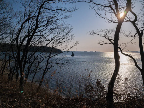 Solnedgång Vid Havet Himmel Träd Klippor Berg Horisont Ryssland Staden — Stockfoto