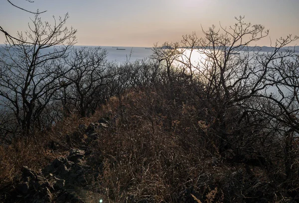 Berg Himmel Växt Solsken Solnedgång Hav Ryssland Staden Nakhodka Cape — Stockfoto