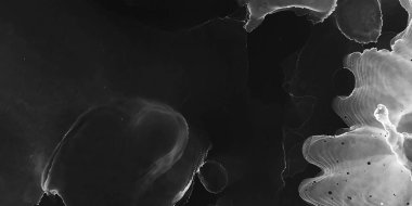 Dekoratif doku. Grafik çizimi. Modern Canva. Siyah Beyaz Dekoratif Doku. Yakın çekim stili. Alkol Mürekkebi Şablonu. Siyah Beyaz Çağdaş Duvar Kağıdı.