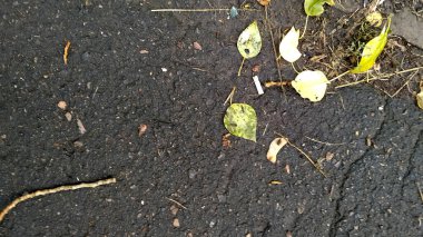 Bitumen Crack. Yatay Soyut Arkaplan. Eski 