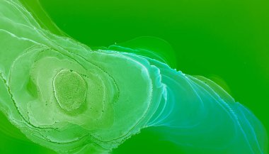 Alkol Mürekkebi Kompozisyonu. Şeffaf Tasarım. Sanatsal Efekt. Çevre Yeşil Alkol Mürekkebi. Alkol Mürekkebi Sanatı. Yaratıcılık Görüntüsü. Sanat Arkaplanı. Çevre Yeşil Girdap.