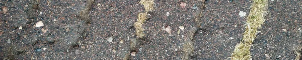 Road Crack Rock. Panoramic  Abstract Closeup.