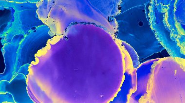 Modern resim. Alkol Mürekkebi Şablonu. Suluboya deseni. Mavi Altın Modern Resim. Mavi Altın Şeffaf Girdap. Düğün görüntüsü. Aquarel Resim. Element.