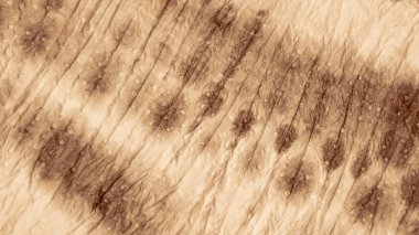 Batik İpek Çizimi. Soyut Bağlanma Boyalı