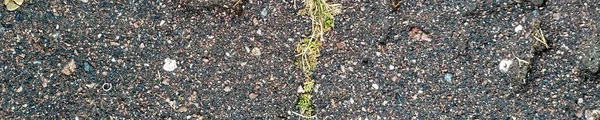 Pavement Highway. Panoramic  Abstract Concept.