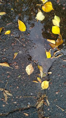 Asfalt Tasarımı. Dikey Soyut Doku. 