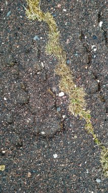 Zemin Yıkım. Dikey Soyut Konsept. 