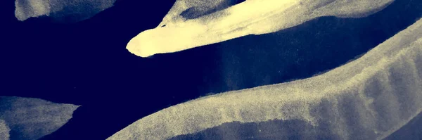 Fondo floral. Invitación moderna. Diseño amarillo dibujado a mano. Textura de flor. Indigo Cyan y Blue Navy Grunge Doodle. Fondo floral. Ilustración gráfica abstracta. —  Fotos de Stock
