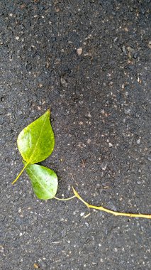 Crack Yolu. Dikey Soyut Doku. Grunge. 