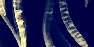 Grunge Davetiyesi. Yaz Duvar Kağıdı. Dalgalı Ginger Doğal Posteri. Soyut Geometrik Süs. Black Grunge Davetiyesi. Ochre ve Gri Çiçek Dekorasyonu.