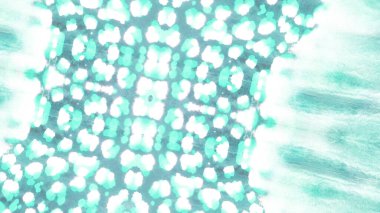 Fırça Sanatsal Geçmişi. Boyalı Suluboya