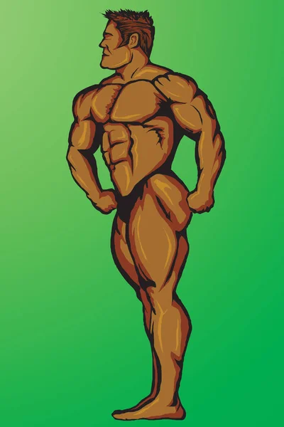 Bodybuilder Masculin Illustré Dans Vecteur — Image vectorielle