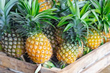 Piyasada satılık bir yığın olgun ananas. Sağlık meyvesi