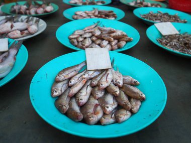 Piyasada satılık taze balık tabağı yakın plan.