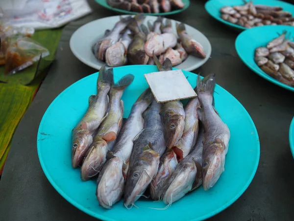 在新鲜街市出售的裸露腹鱼的特写镜头 — 图库照片