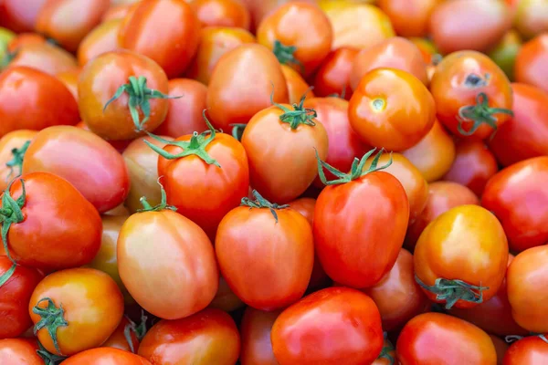 Stapel Roter Tomaten Zum Verkauf Auf Dem Frischmarkt Vollständiger Rahmen — Stockfoto