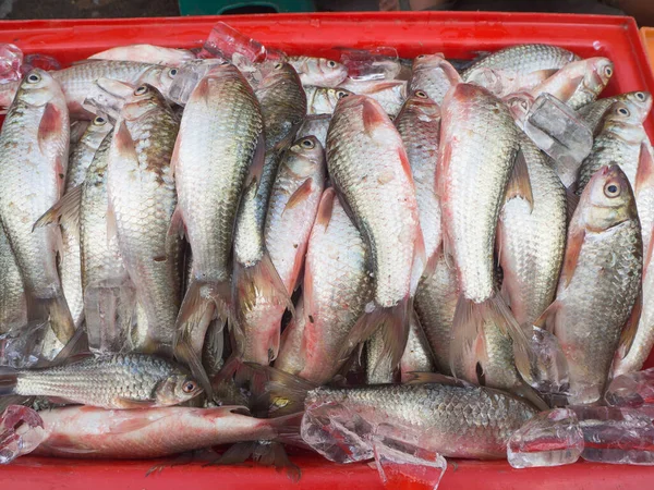 暹罗泥浆鲤鱼在市场上出售的全景照片 — 图库照片