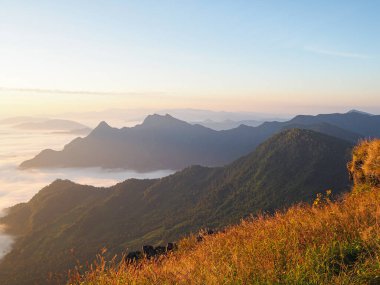Tayland 'ın Chiang rai bölgesindeki Phu chee fah' da sabah sisi. Ünlü turist eğlenceleri. Tatil kavramı