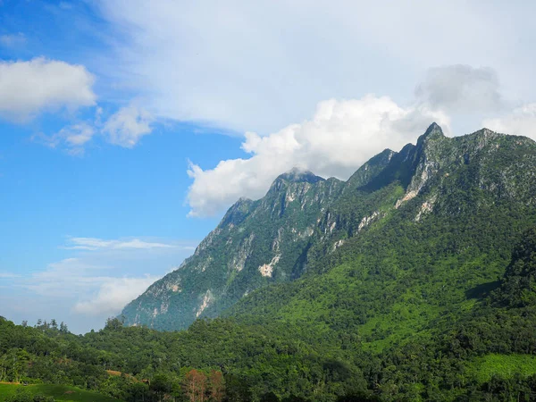 Krajobraz Gór Pokryty Białymi Chmurami Doi Laung Chiang Dao Słynne — Zdjęcie stockowe