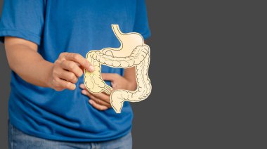 Kolon sembolü tutan ve mide ağrısından muzdarip mide ülseri, apandisit ya da mide sistemi hastalığından muzdarip olan ellerin yakın çekimi.