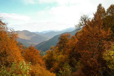 Sonbaharın eşsiz renkleriyle Yedigller Dağları