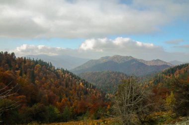 Sonbaharın eşsiz renkleriyle Yedigller Dağları