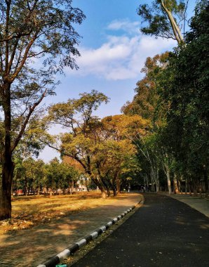 Chandigarh 'ın Kaya Bahçesi' nin manzarası, Chandigarh, Punjab, Hindistan 'da bir heykel bahçesi. Kaya bahçesindeki tüm heykeller tamamen atık maddeden yapılmıştır..