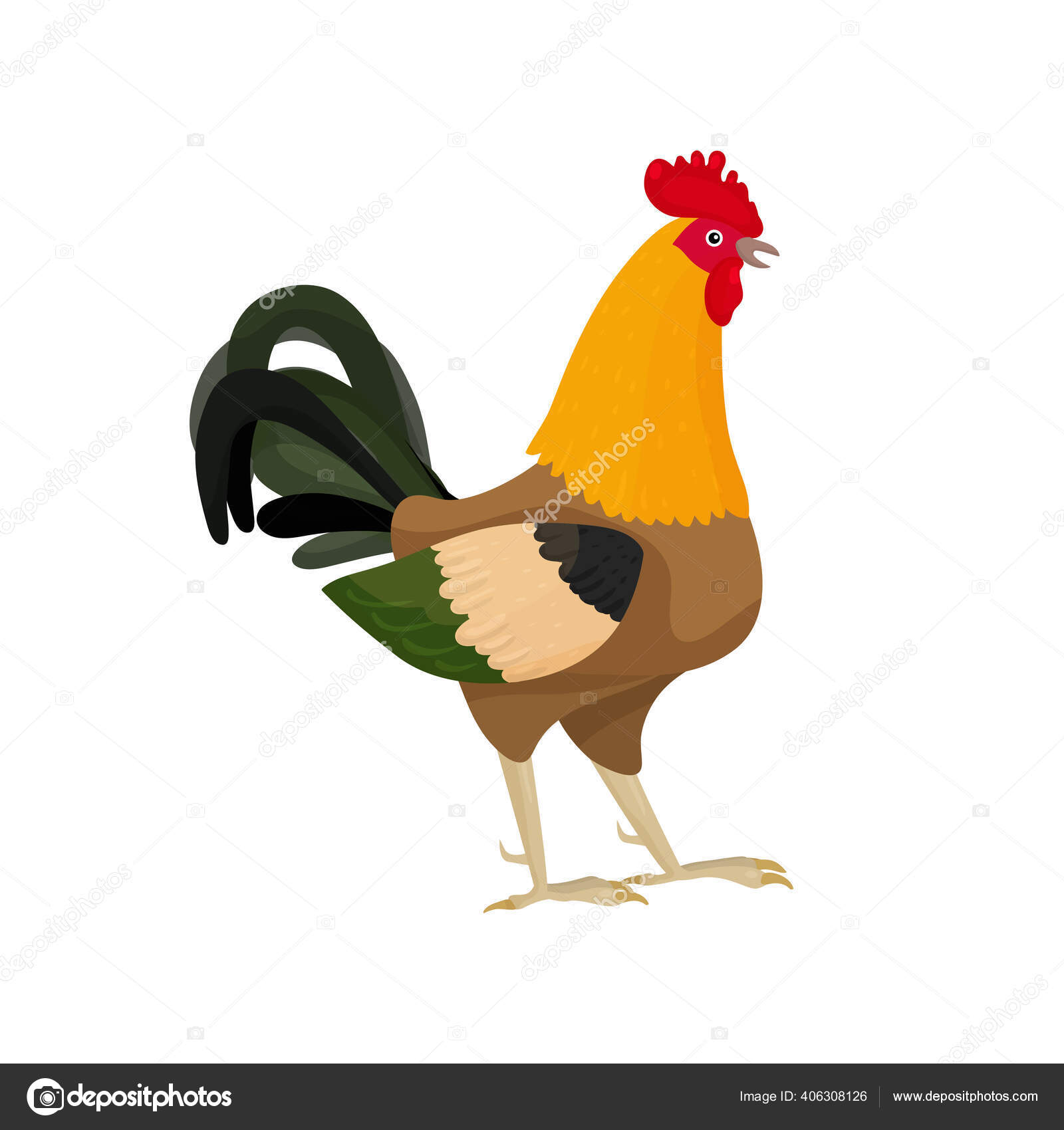 Vektor Ilustrasi Ayam Jago Dalam Gaya Kartun Dengan Bulu Beige Stok Vektor C Madimouse Mail Ru 406308126