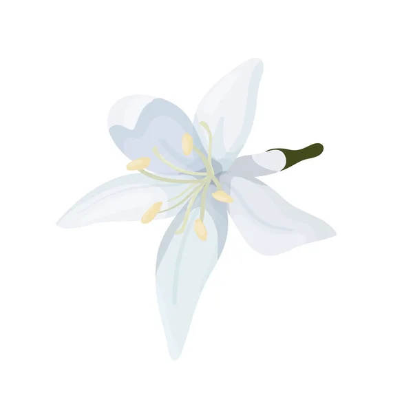 Illustration Vectorielle Isoler Sur Fond Blanc Vue Dessus Une Fleur — Image vectorielle