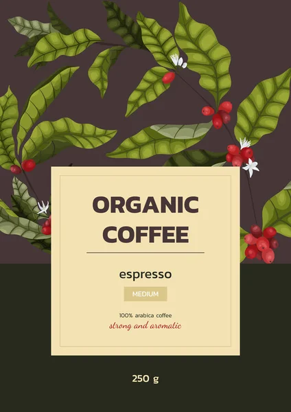 Kahve Reklamı Kavramının Vektör Illüstrasyonu Dallı Karikatür Tarzında Kahve Meyveli — Stok Vektör