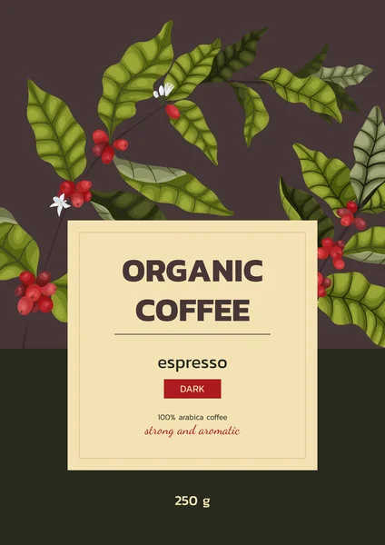Vector Illustration Konzept Der Werbung Kaffee Mit Zweigen Und Beeren — Stockvektor