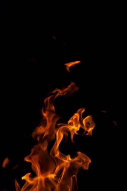 İzole edilmiş parlak sarı bir alevin dikey görüntüsü. Siyah arka planda sayısız dil var. 