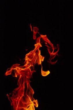 İzole edilmiş, parlak kırmızı bir alevin dikey görüntüsü. Siyah arkaplanda sayısız dil var. 