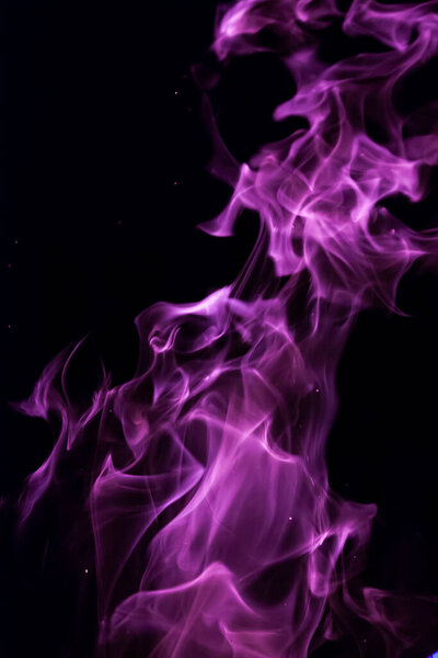 Close-up vertical picture of an isolated bright purple flame with numerous of tongues on the black background