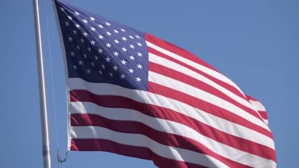 Bandiera Americana Sventola Una Brezza Dolce — Video Stock