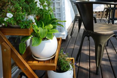 Dağ Gölü kıyısındaki parklarda hoş bir yaz kafesi atmosferi.