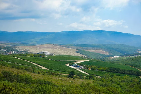 Krásný Výhled Údolí Vinicemi Horami Horkého Letního Slunečného Dne Černé — Stock fotografie