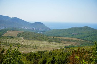 güzel üzüm bağları, tarlalar, dağlar, deniz ve Sukko vadisi manzarası