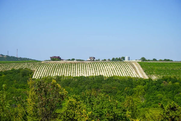 Красивый Дом Вершине Холма Фоне Голубого Безоблачного Неба Зеленого Поля — стоковое фото