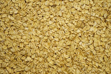 Herkül, arka plan olarak saf sarı yulaf taneleri.