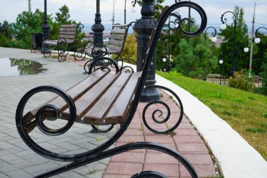 Güzel ağaçların, çiçeklerin, çalıların ve sokak ışıklarının olduğu bir şehir parkında güzel bir bank.