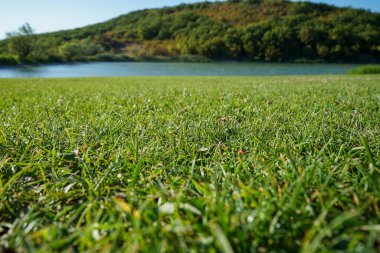 Güzel, yeşil çimenler ve gölün kenarındaki ağaçlar çocuklu ve engelli aileler için keyifli bir konaklama yeri. Piknik, spor, yoga ve iyileşme için uygun bir yer.