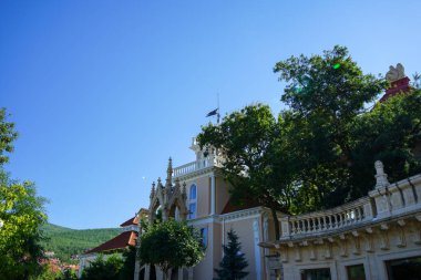 Kentsel park mimarisinin egzotik bitkileriyle güzel elementleri