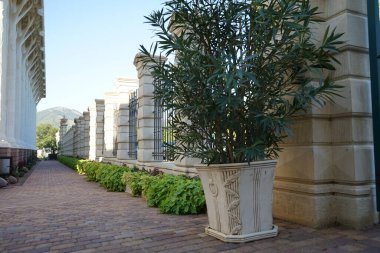 Kentsel park mimarisinin egzotik bitkileriyle güzel elementleri