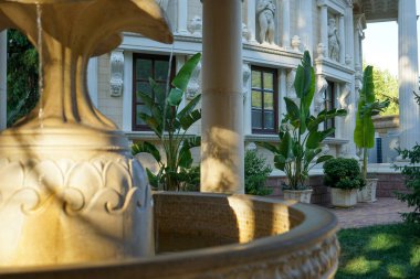 Kentsel park mimarisinin egzotik bitkileriyle güzel elementleri