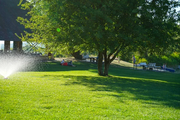 Belle Pelouse Tondue Verte Des Arbres Bord Lac Pour Séjour — Photo