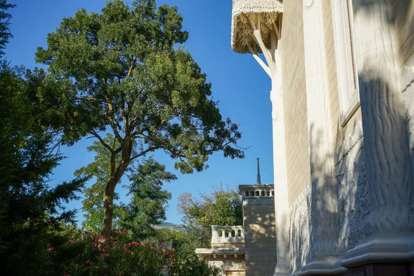 Kentsel park mimarisinin egzotik bitkileriyle güzel elementleri